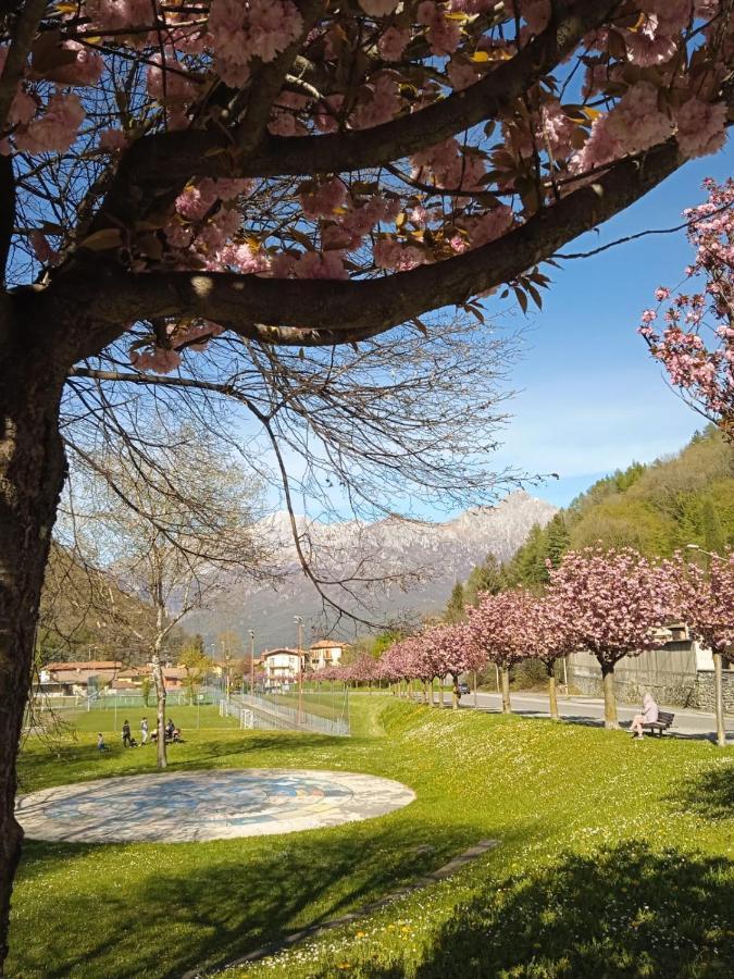 Mountains And Lake Como Apartments Valbrona Exterior foto